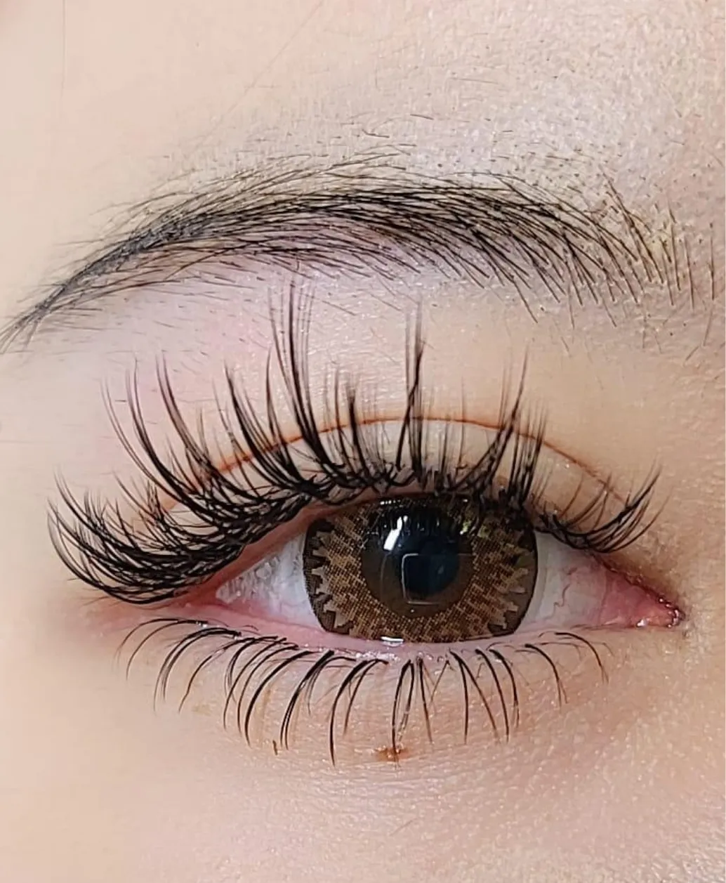 Eyelash Extension — Serenity Beaute Singapore